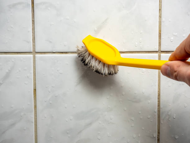 Best Mold Removal Company Near Me  in The Hills, NJ