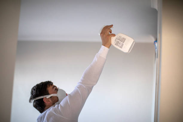 Best Professional Mold Removal  in The Hills, NJ