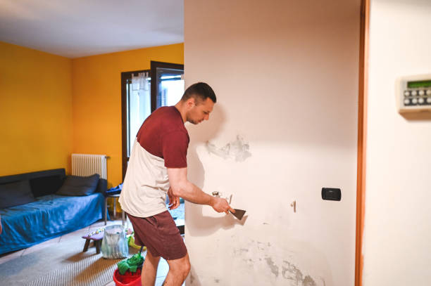 Best Affordable Mold Removal  in The Hills, NJ